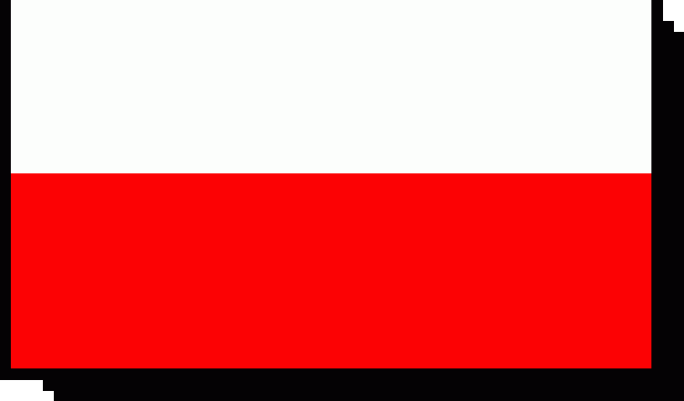 W poniedziałek przedsprzedaż biletów na Polska - Rosja
